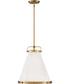 Lark 1-Light Medium Pendant in Lacquered Brass