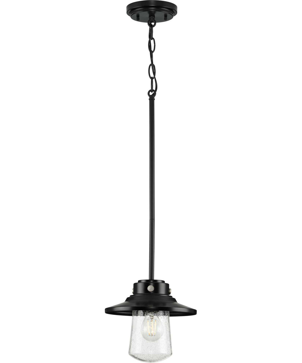 Tremont 1-Light Clear Seeded Glass Farmhouse Style Hanging Mini-Pendant Light Matte Black