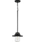 Tremont 1-Light Clear Seeded Glass Farmhouse Style Hanging Mini-Pendant Light Matte Black