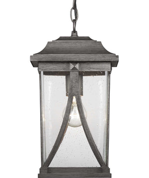 Abbott 1-Light Hanging Lantern Antique Pewter