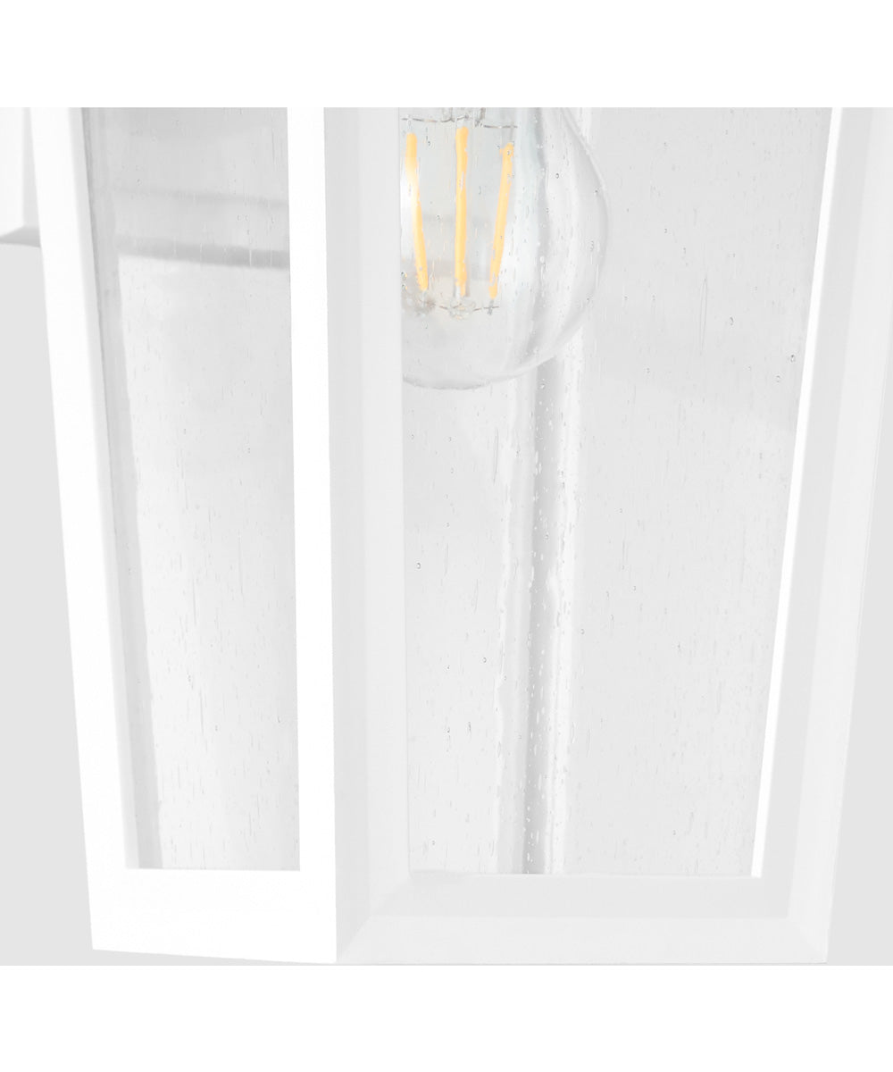 Bravo 1-light Wall Mount Light Fixture White