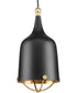 Era 1-Light Gold Global Pendant Light Matte Black