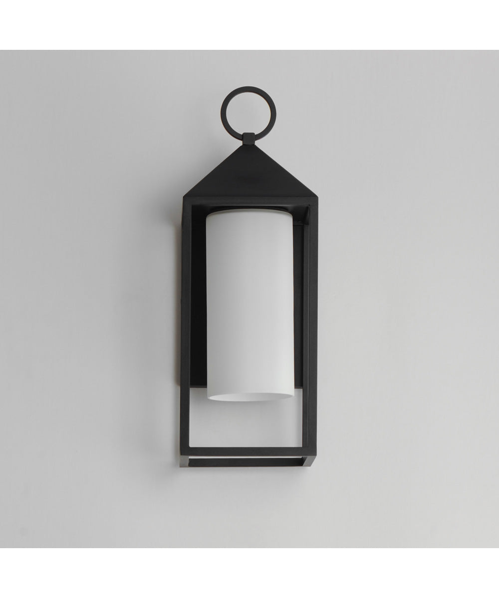 Aldous 1-Light Outdoor Sconce Black