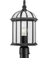 Dillard 1-Light Traditional Clear Glass Outdoor Post Light Textured Black