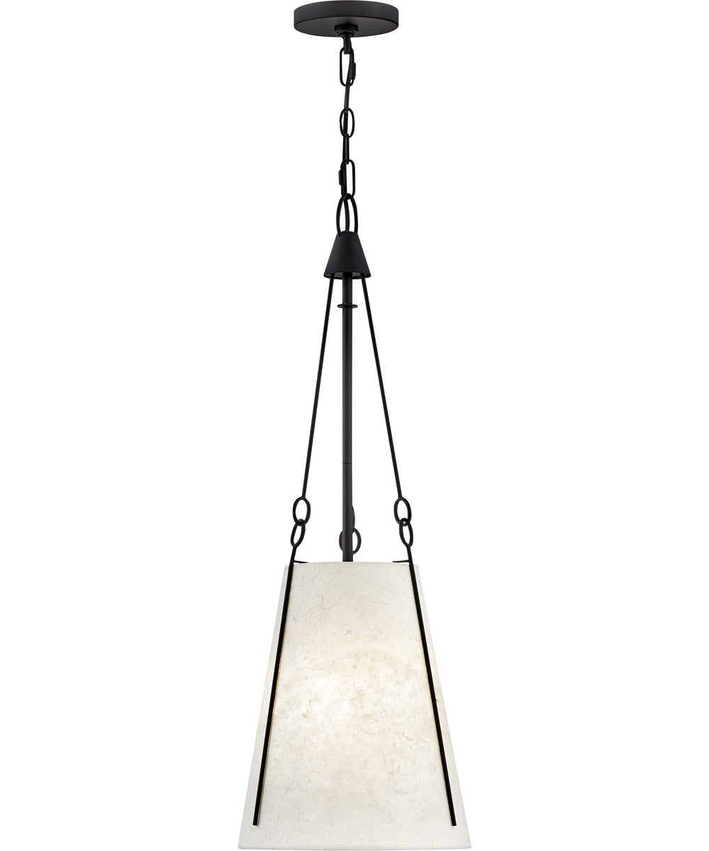 Danvers 1-Light Small Pendant in Black