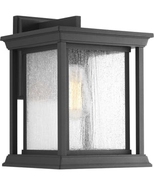 Endicott 1-Light Large Wall Lantern Textured Black