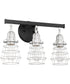 Thatcher 3-Light Bath Vanity Light Flat Black/Brushed Polished Nickel