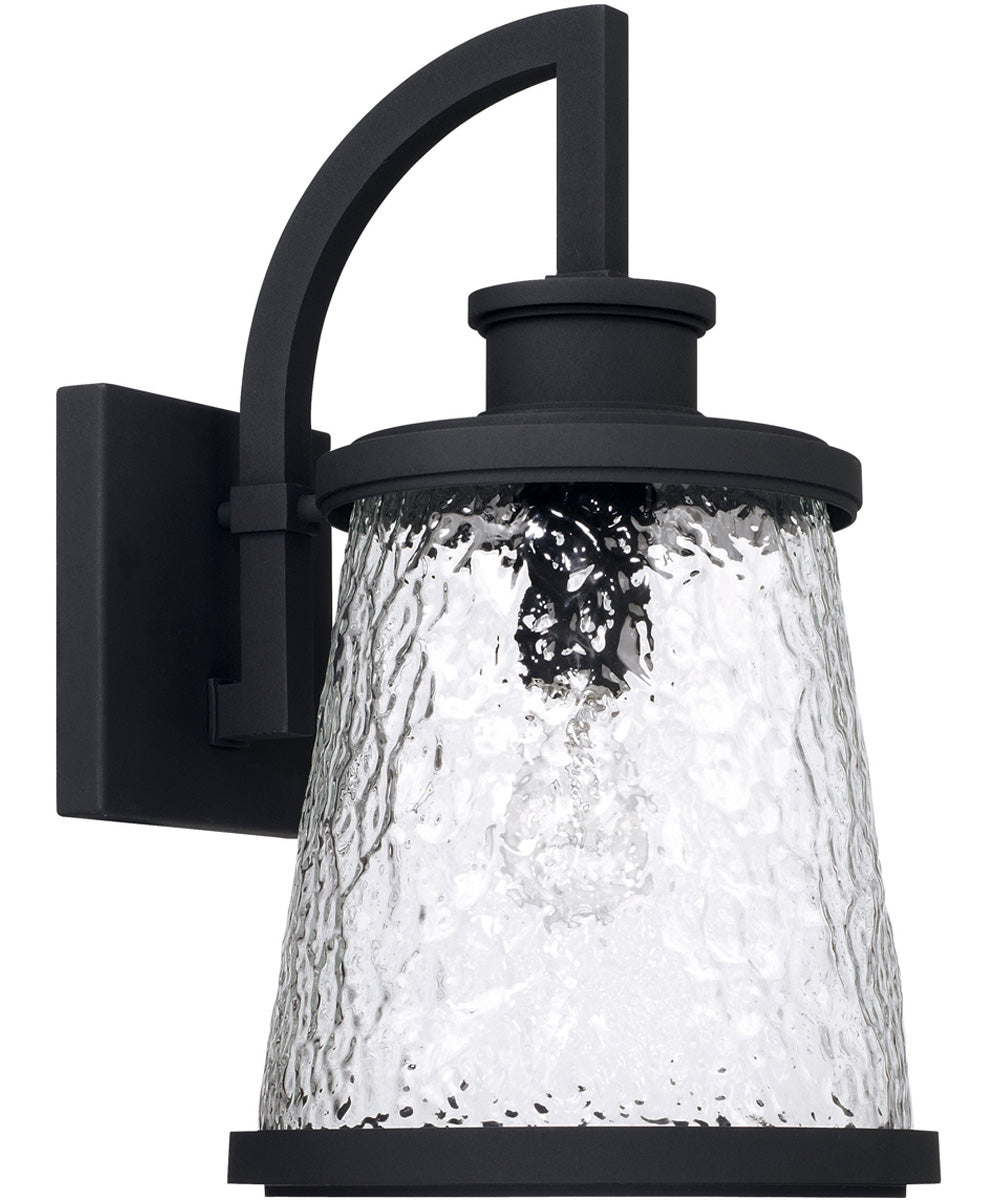 Tory 1-Light Outdoor Wall Mount Rain or Shine - Black with Clear Organic Glass