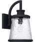 Tory 1-Light Outdoor Wall Mount Rain or Shine - Black with Clear Organic Glass