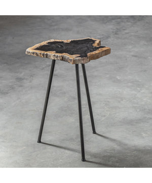 Mircea Petrified Wood Accent Table