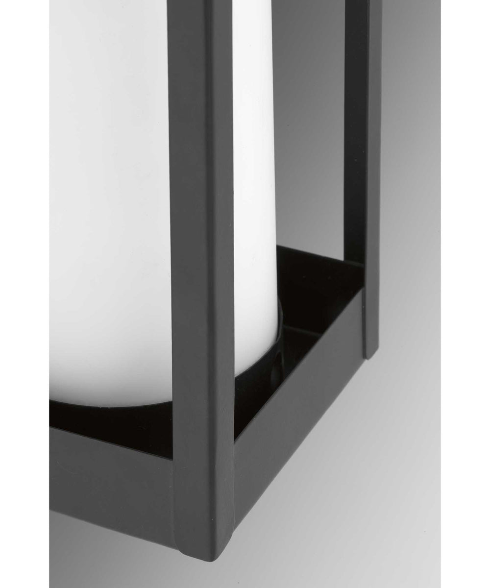 Patewood 1-Light Medium Wall Lantern Matte Black