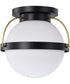 Lakeshore 1-Light Close-to-Ceiling Matte Black