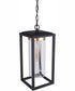 Neo 1-Light Pendant Midnight Satin Brass