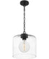 Abner Small 1-light Mini Pendant Matte Black