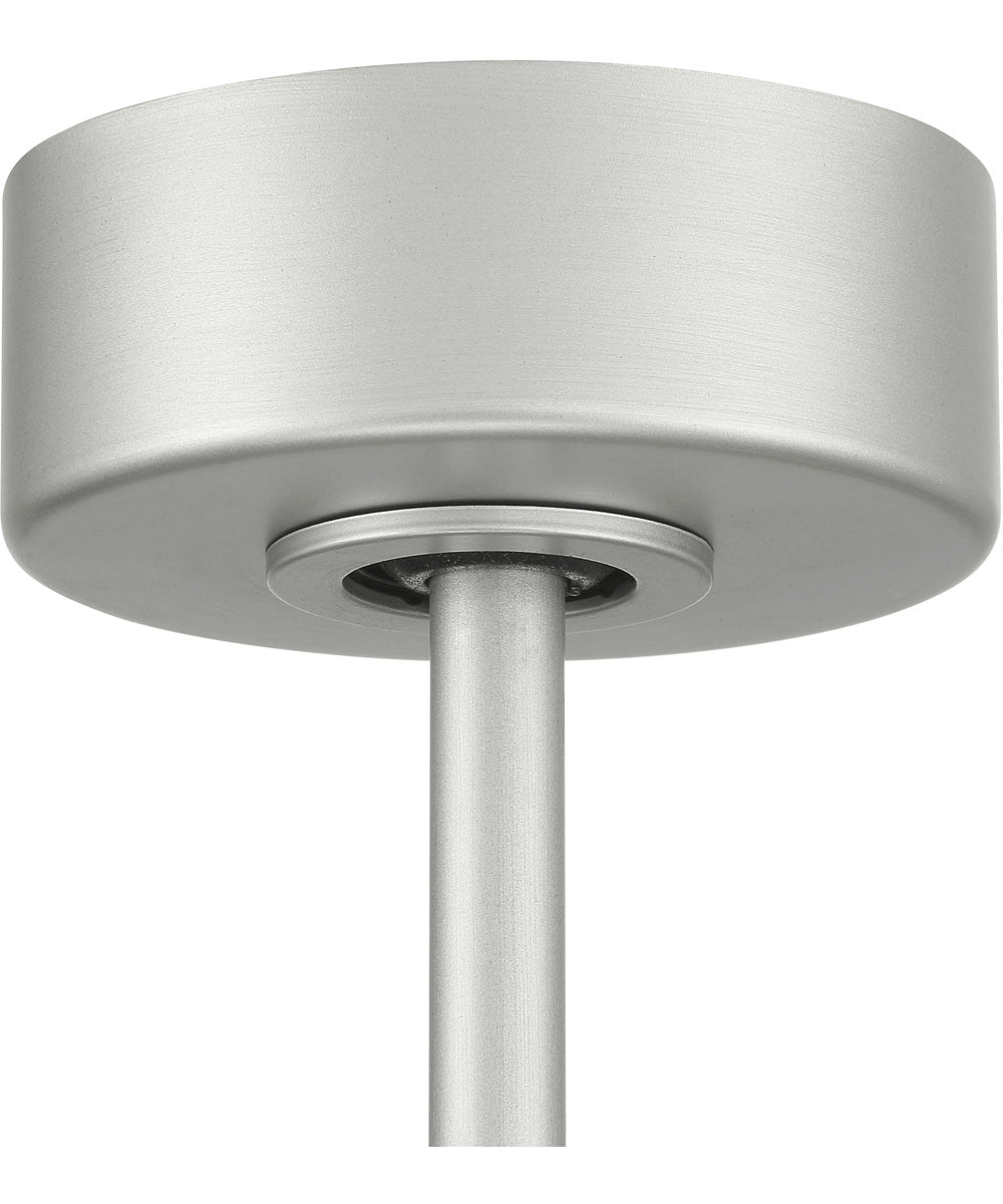 Taylor 24" 1-Light Ceiling Fan (Blades Included) Painted Nickel