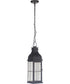 Vincent 1-Light LED Outdoor Pendant Midnight