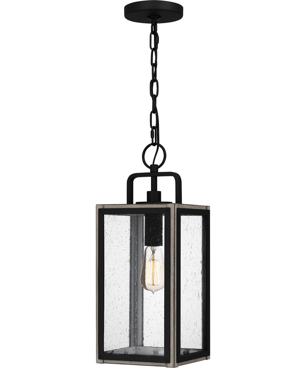 Bramshaw Large 1-light Outdoor Pendant Light  Coastal Armour Aluminum Matte Black