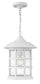 10"W Freeport 1-Light Outdoor Hanging Light in Classic White