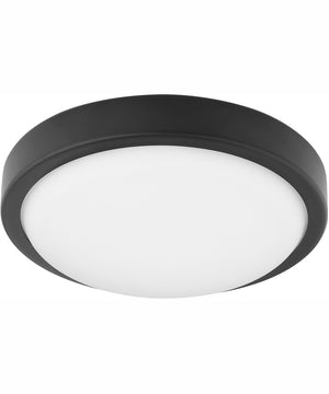 1-light LED Ceiling Fan Light Kit Matte Black