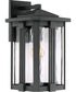 Everglade Medium 1-light Outdoor Wall Light Earth Black