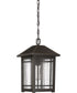 Cedar Point Large 1-light Outdoor Pendant Light Palladian Bronze