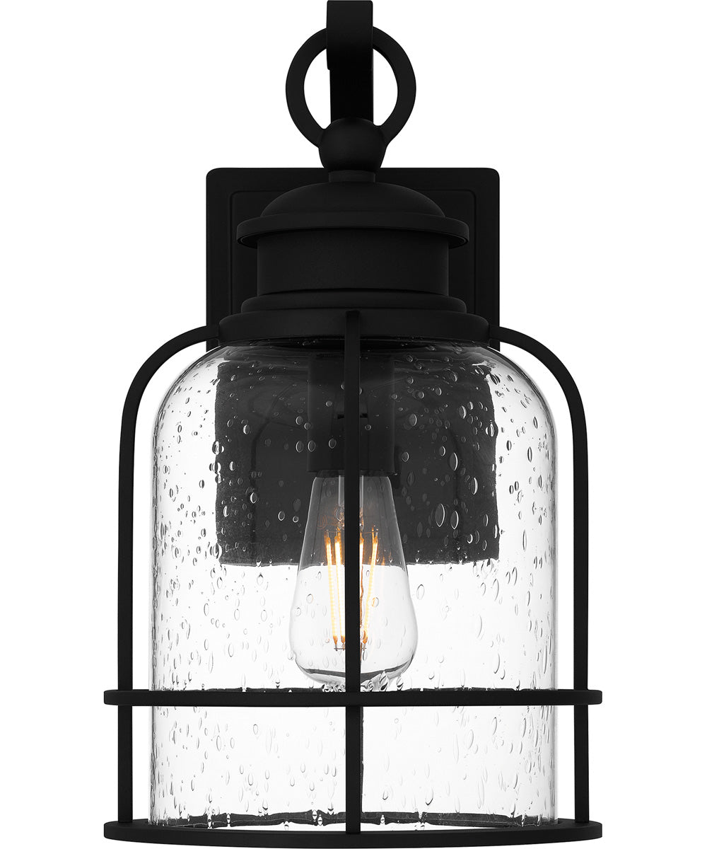 Bowles Medium 1-light Outdoor Wall Light Earth Black