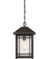 Cedar Point Large 1-light Outdoor Pendant Light Palladian Bronze