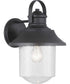 Weldon 1-Light Large Wall Lantern Textured Black