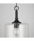 Carter 1-Light Pendant Matte Black