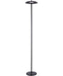 Torin 1-Light Led Torch/Floor Lamp Black