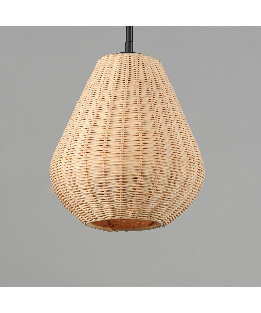 Maldives 1-Light Pendant Black
