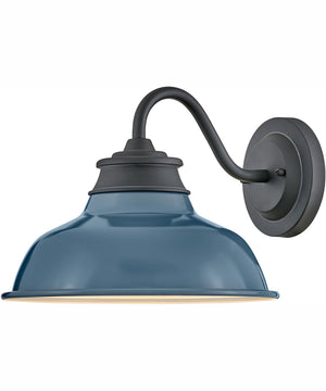 Wallace 1-Light Small Gooseneck Barn Light in Museum Black with Denim Blue accent