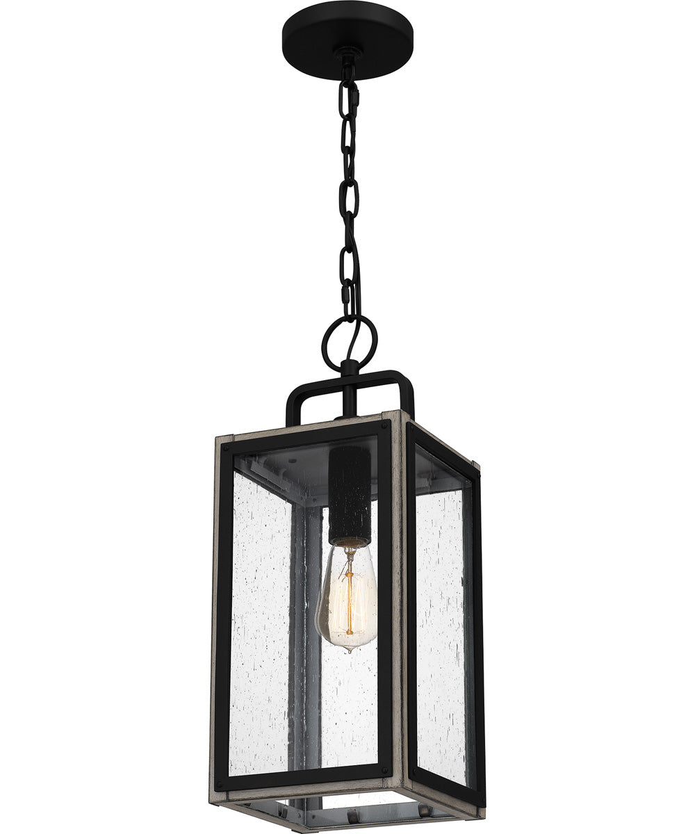 Bramshaw Large 1-light Outdoor Pendant Light  Coastal Armour Aluminum Matte Black
