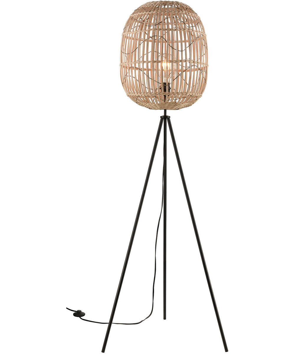 Cold Spring Floor Lamp