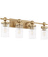 Tamara Day's Lee Boulevard 4-light Bath Vanity Light Aged Brass