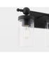 Tamara Day's Lee Boulevard 3-light Bath Vanity Light Matte Black