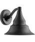 Sombra 1-light Wall Mount Light Fixture Matte Black