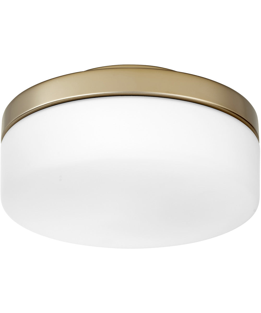 1-light LED Ceiling Fan Light Kit Aged Brass