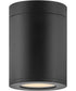 Silo Coastal Elements  1-Light LED Small Flush Mount in Black