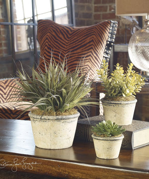 15"H La Costa Greenery Set of 3