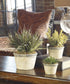 15"H La Costa Greenery Set of 3