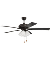 Ceiling Fans with Lights