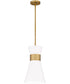Fremont Small 1-light Mini Pendant Aged Brass