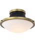 Lafayette 1-Light Close-to-Ceiling Matte Black