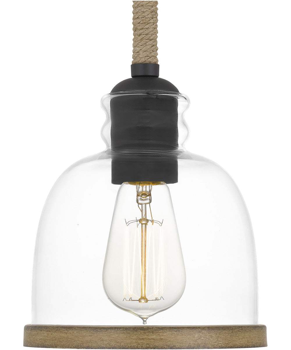 Wagner Small 1-light Mini Pendant Matte Black