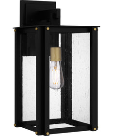 Robbins Large 1-light Outdoor Wall Light  Coastal Armour Aluminum Matte Black