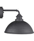 Englewood 1-Light Medium Wall Lantern Textured Black