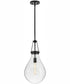 Eloise 1-Light Small Pendant in Black