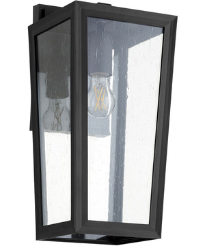 Bravo 1-light Wall Mount Light Fixture Noir