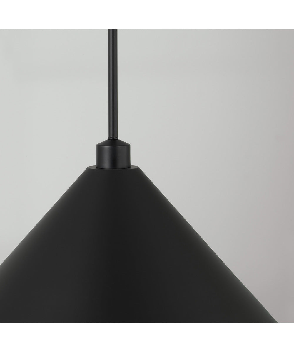 Alden 1-Light Pendant Matte Black